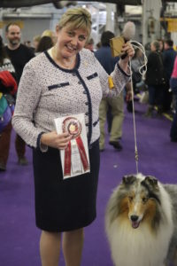 Veteran Rough Coated Collie Saxon, winning 2nd place in best of breed competition