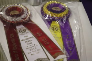 First and Second place best of breed ribbons for best of breed rough coated collies
