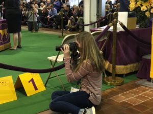 Daly Dodsworth photographing dogs showing at the Westminster Kennel Club Dog Show in New York (February 2019)
